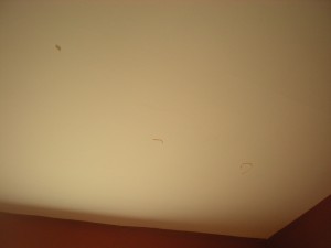 pasta on the ceiling