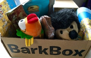 BarkBox Review
