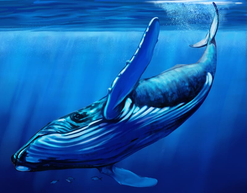 What is the Blue Whale Challenge