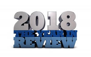 2018 the year in review